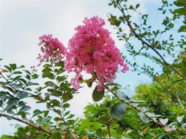 呼吸鮮氧,踐行公益——廣東博皓公益活動:星溪線公益環保活動   -5