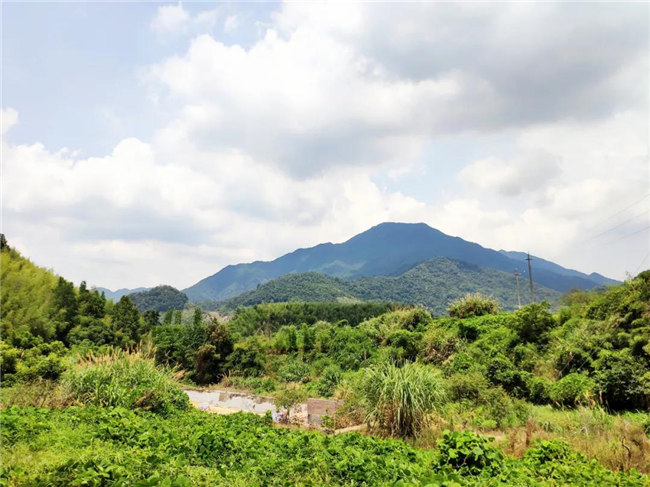 呼吸鮮氧,踐行公益——廣東博皓公益活動:星溪線公益環保活動   -6