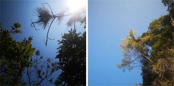 廣東博皓 博行天下丨虎年第一爬,挑戰從化老虎頭   -1