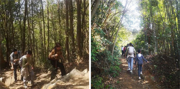 廣東博皓 博行天下丨虎年第一爬,挑戰從化老虎頭   -2