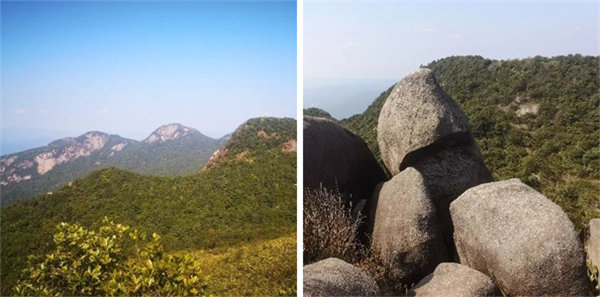 廣東博皓 博行天下丨虎年第一爬,挑戰從化老虎頭   -4