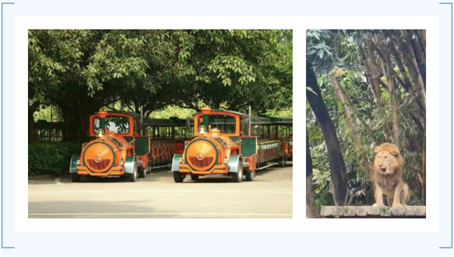 大手牽小手,快樂親子游!廣東博皓2023年親子游活動        -7