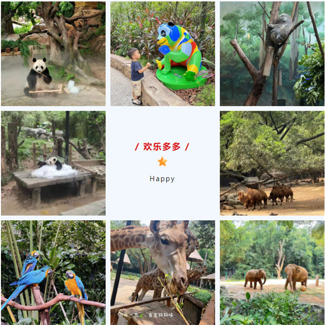 大手牽小手,快樂親子游!廣東博皓2023年親子游活動        -8