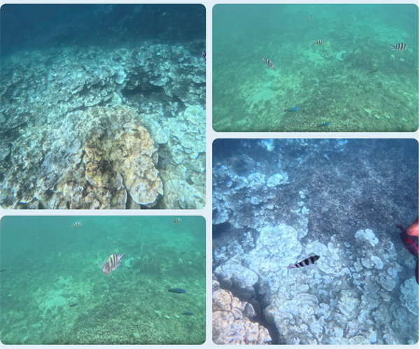 風(fēng)雨兼程二十載，馬來(lái)之旅續(xù)新篇&mdash;&mdash;2024年博皓沙巴風(fēng)情之旅     -6