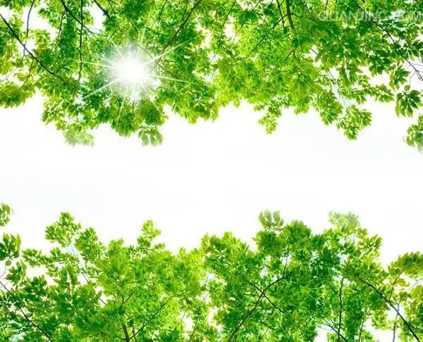 人生實苦,但請你足夠相信!